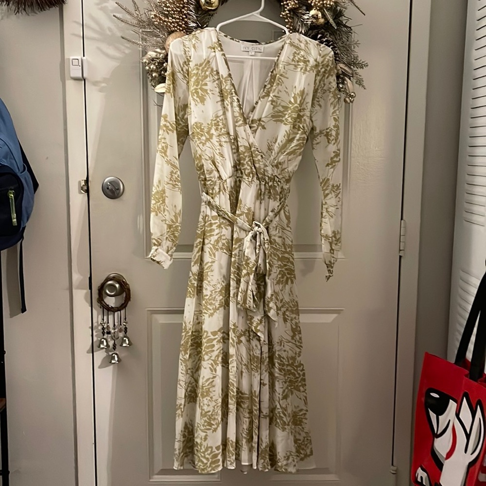Ivy City In The Meadows Dress Size S